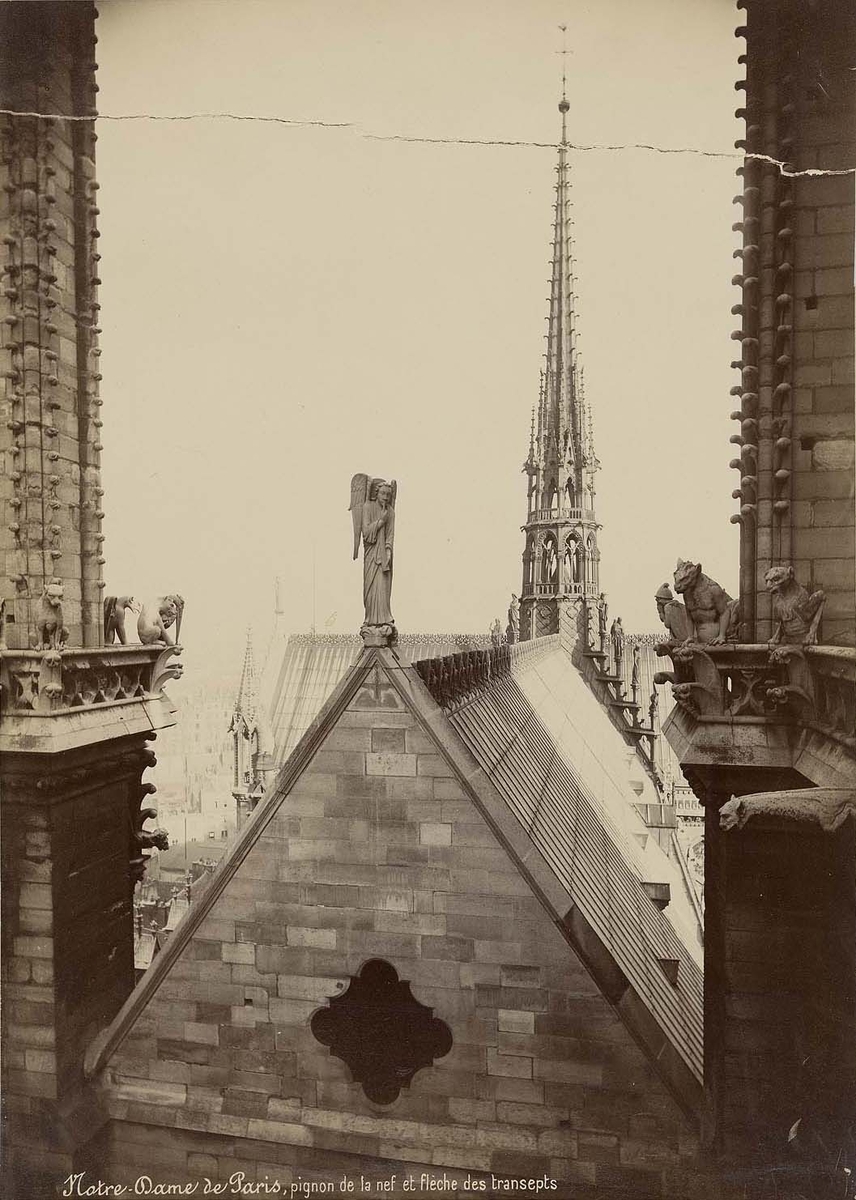 Photographie de la cathédrale Notre-Dame de Paris - Mieusement 1892