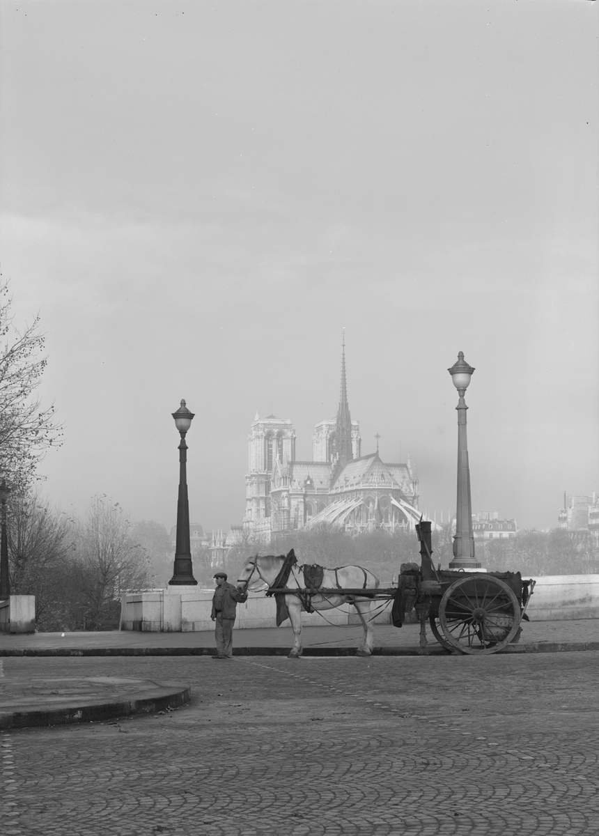 Photographie de la cathédrale Notre-Dame de Paris - René-Jacques 1948